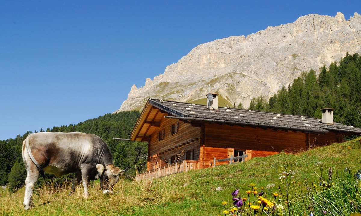 Obereggen Ski Chalet | Chalet, alpine hut, ski hut in the middle of the ski area, vacation apartment