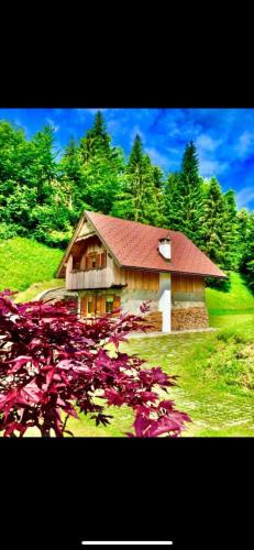 Sutrio Ski Chalet | Chalet Corone Monte Zoncolan