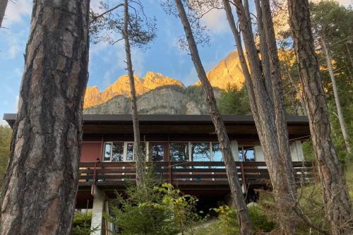 Borca di Cadore Ski Chalet | Chalet di design vista Pelmo - Chalet dei Brisi