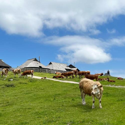 Kamnik House | Chalet Korosica Velika Planina