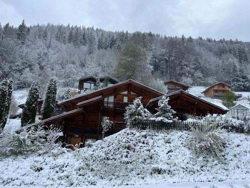 Montriond Ski Chalet | Chalet Mathilde - Morzine