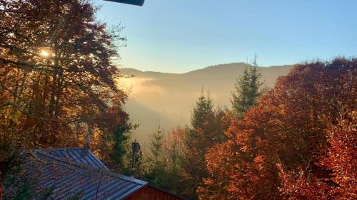 L'Esperou Ski Chalet | Chalet paisible dans les Cévennes avec sauna privé
