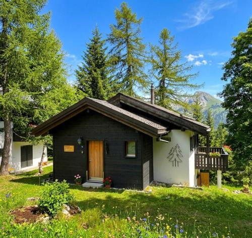 Bellwald Apartment | Chalet Silentium