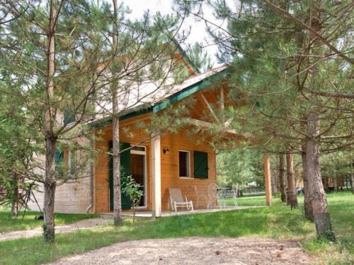 Dienne Other | Chalet spacieux avec terrasse pour 8 personnes - API-1-52-1342