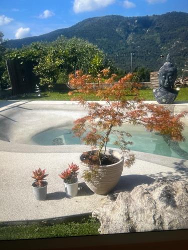 Contes Bed & Breakfast | Chambre privée
