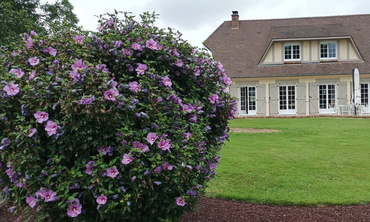 Malaunay Bed & Breakfast | Chambres D'hôtes