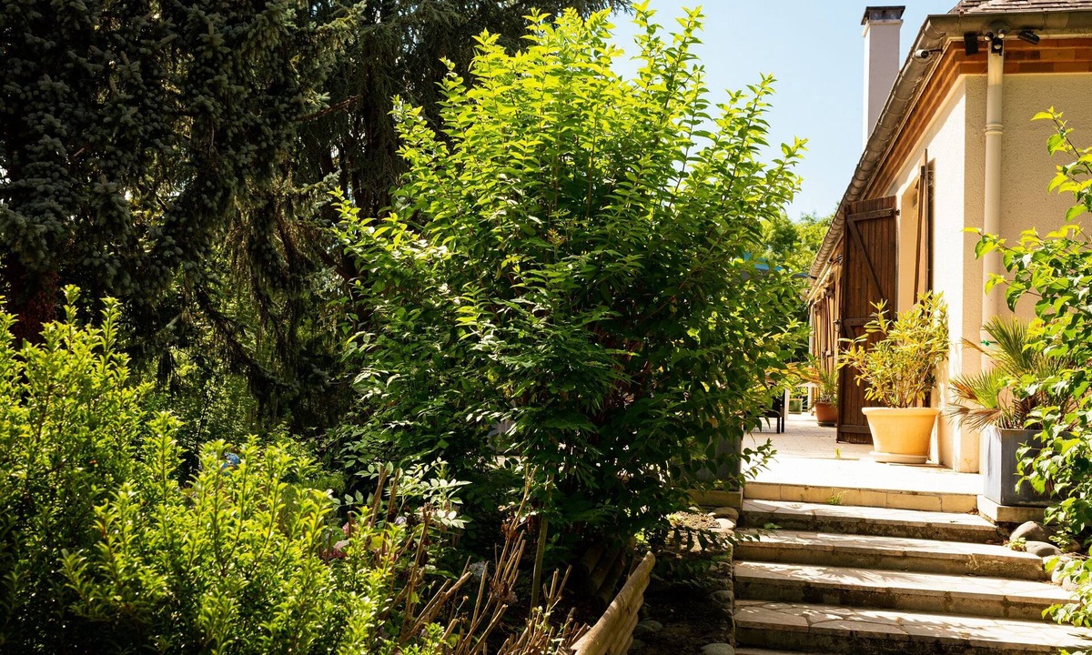 Lourdes House | Chambres d'hôtes La Demeure Aux Pins