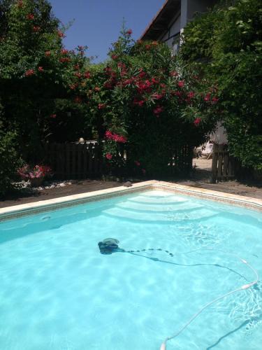 Saint Sever Bed & Breakfast | Chambres d'Hôtes La Toast Vin
