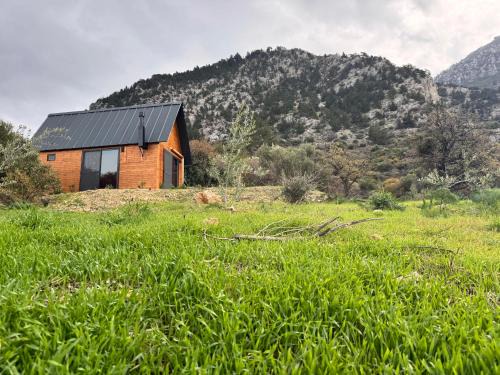 Ilgaz House | Chardonnay Tiny Home for Nature Lovers North Cyprus