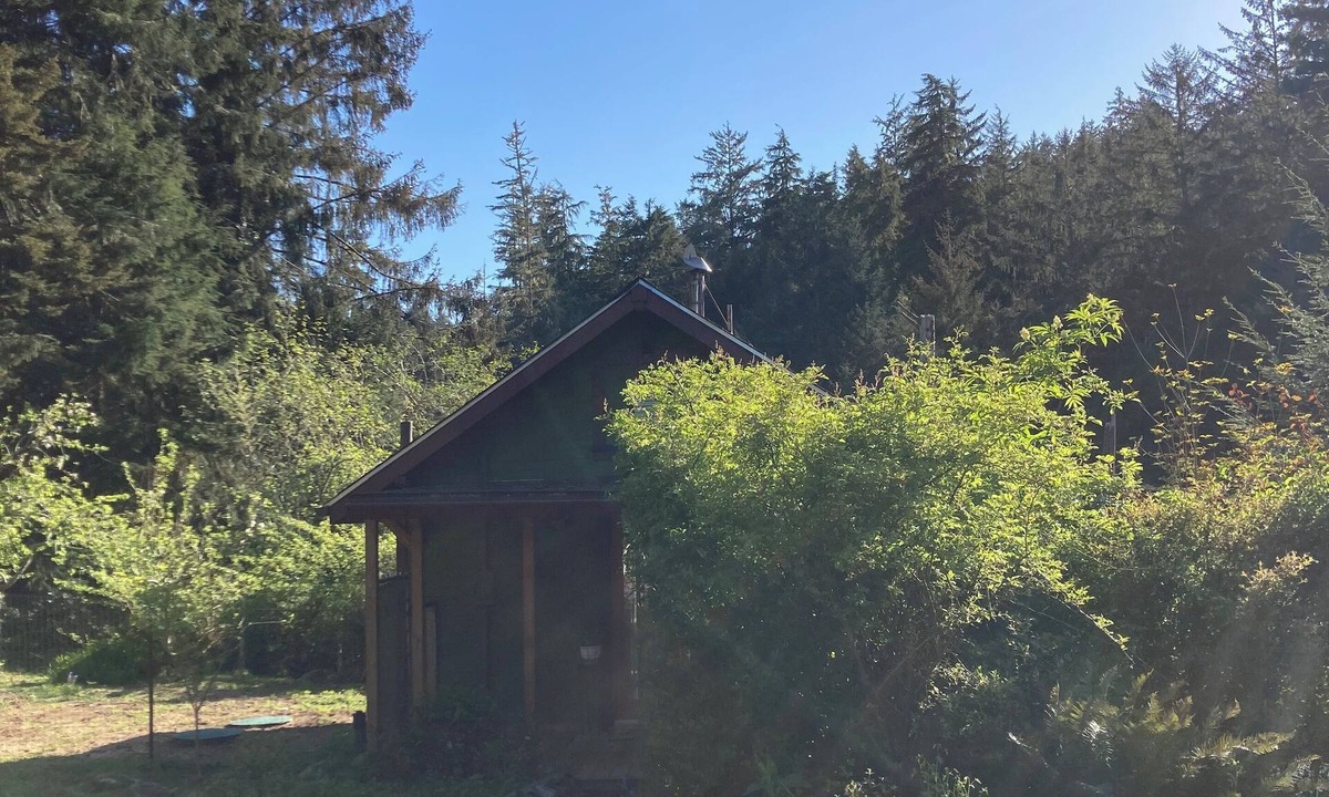 Waldport House | Charming 1-bedroom house surrounded by trees just outside tranquil Waldport