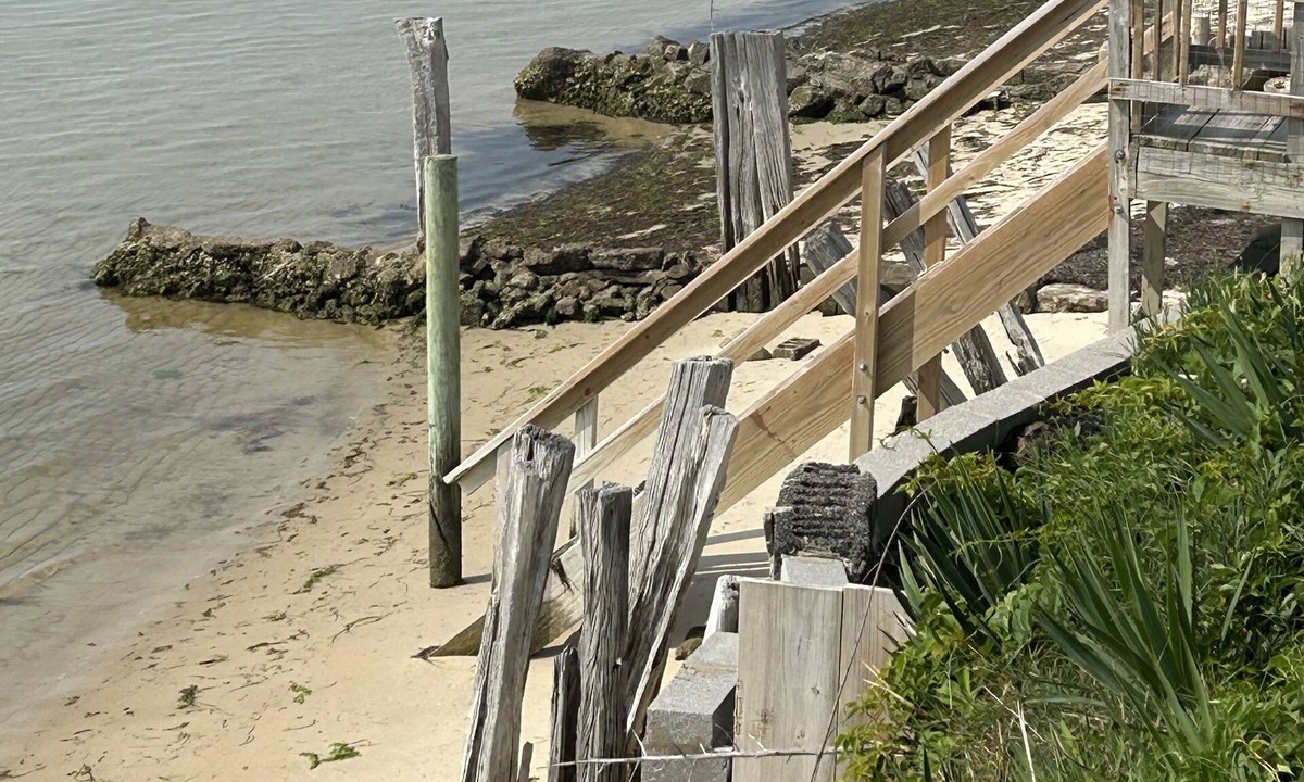 Birdsnest House | Charming 2-bedroom house right next to beach in gorgeous cape Charles