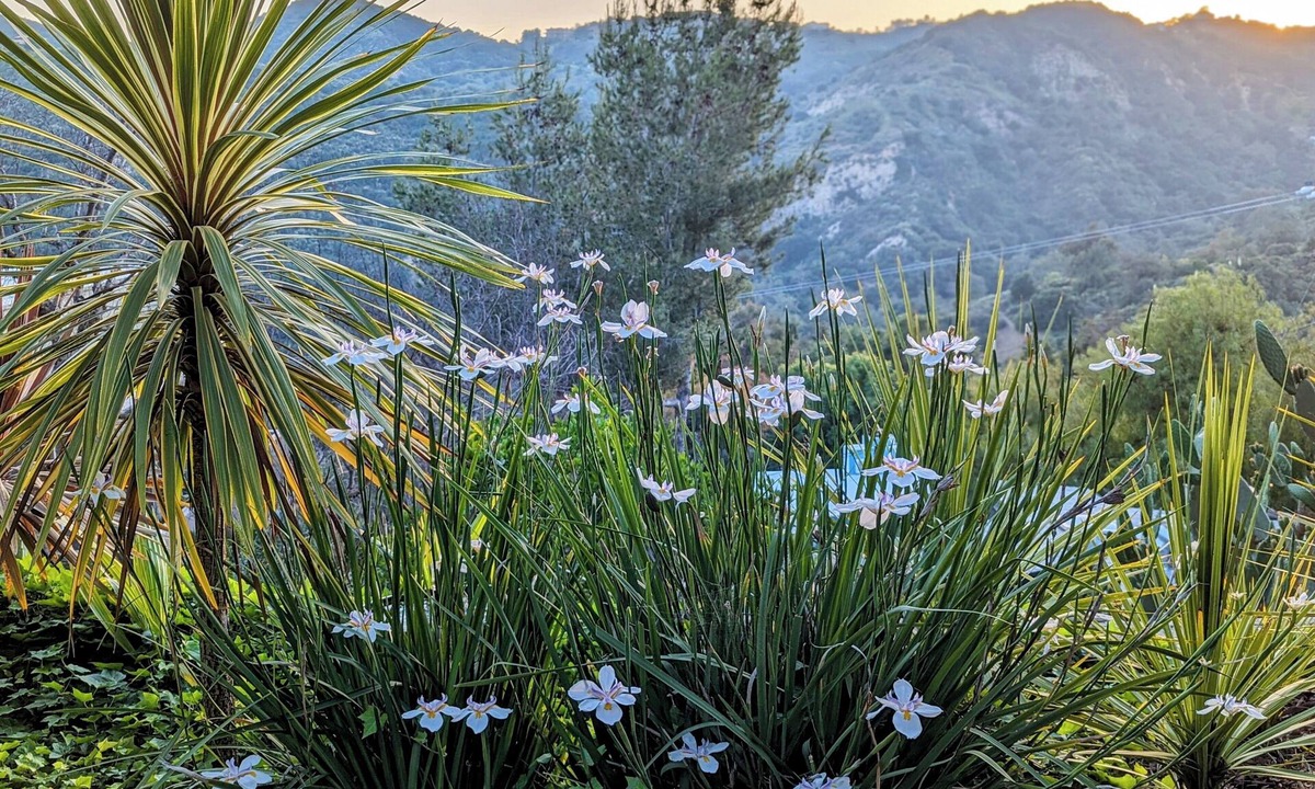 Sylvia Park House | Charming 2 BR/2BTH Topanga Canyon cottage