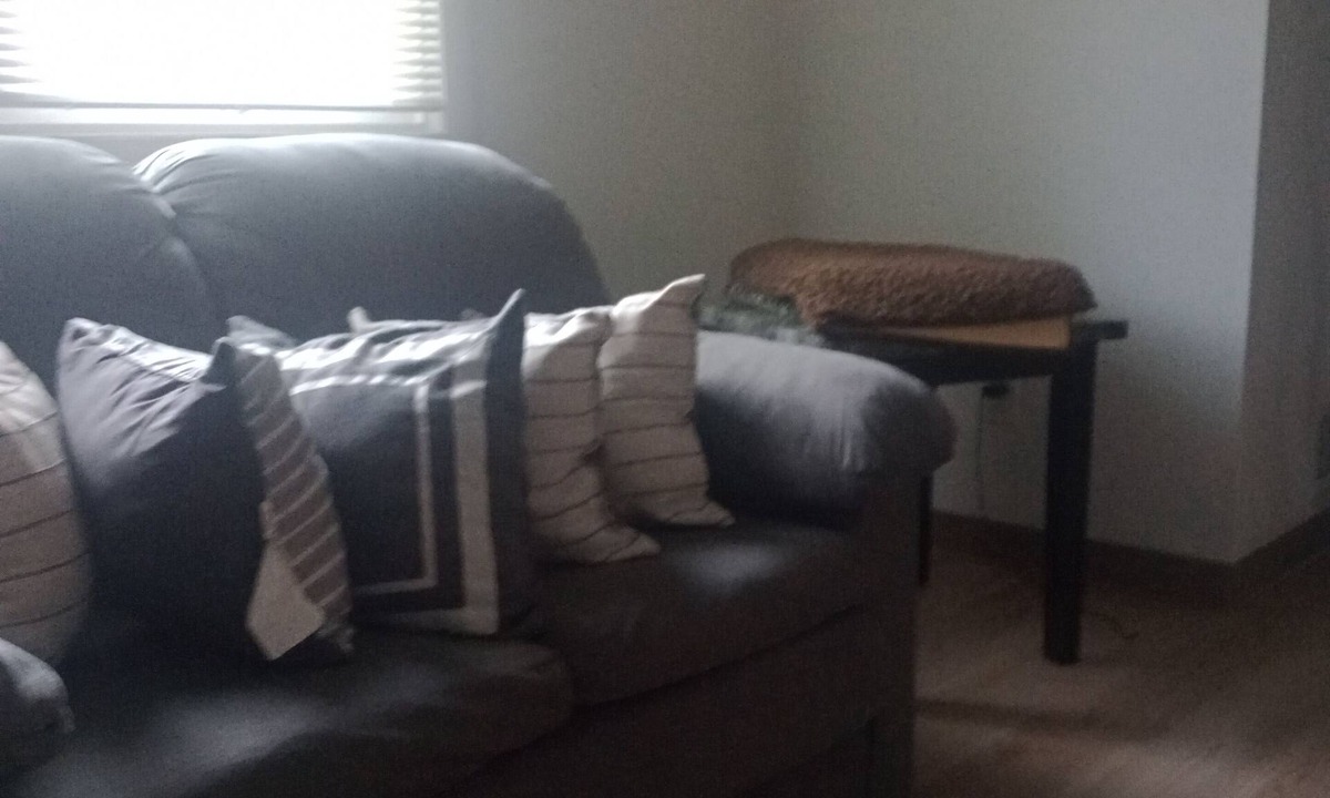 Rochester Condo | Charming 3-bedroom condo in pleasant Rochester with AC, WiFi. And very clear