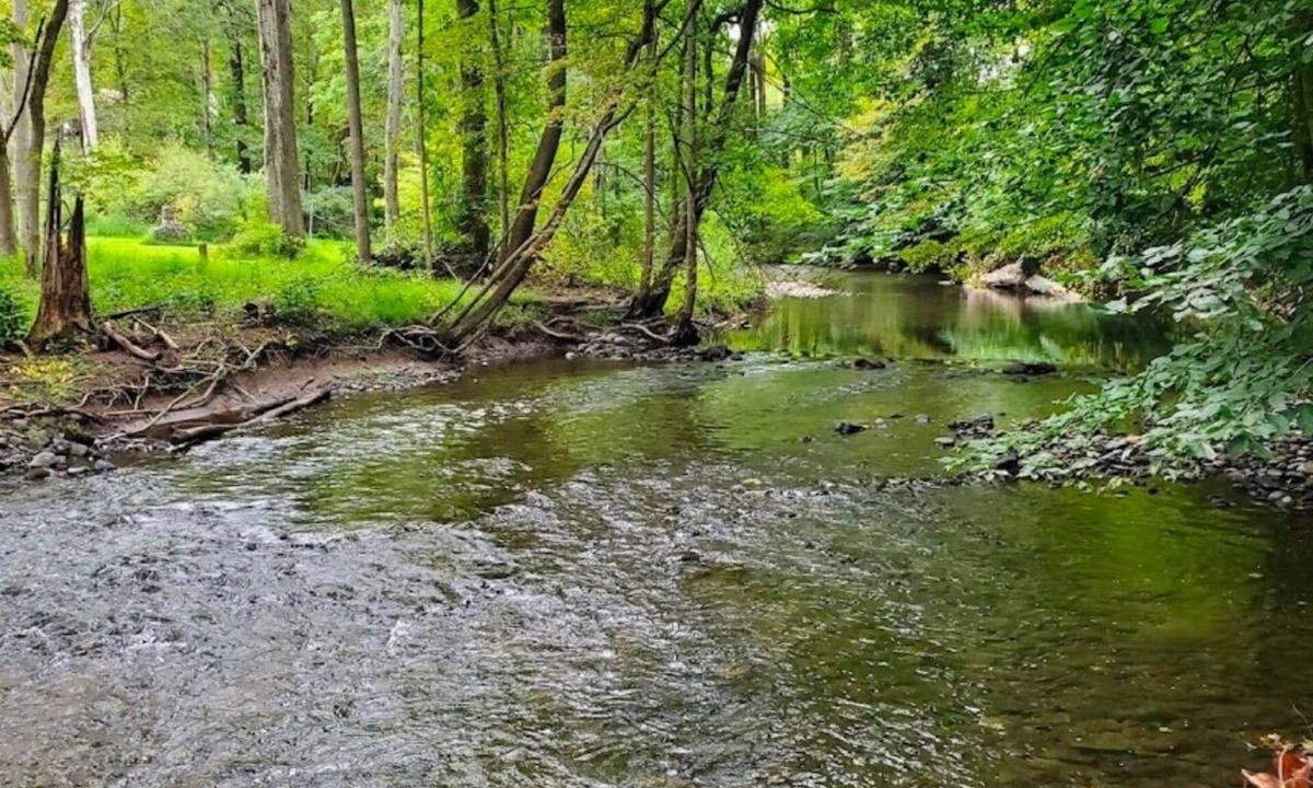 Delaware Water Gap House | Charming 4-bedroom house with AC, WiFi in brilliant Delaware Water Gap