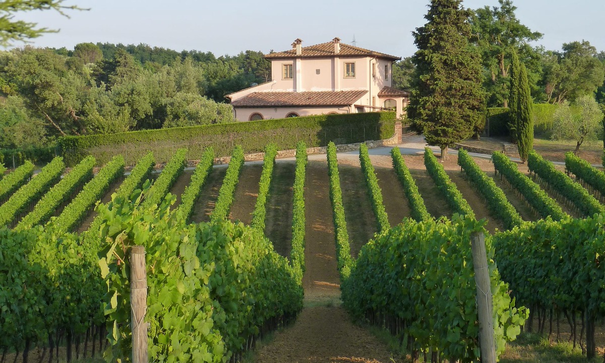 Crespina House | Charming and comfortable apartment in organic winery