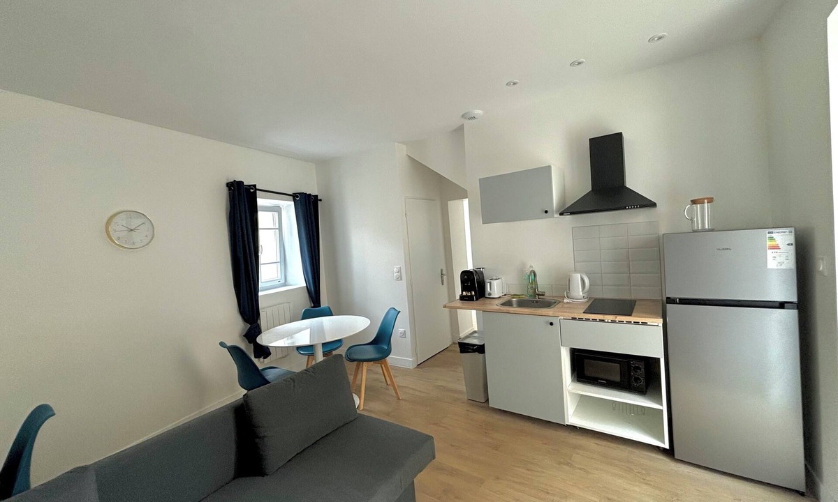 La Gare Apartment | Charming and bright T2 near Clermont-Ferrand train station