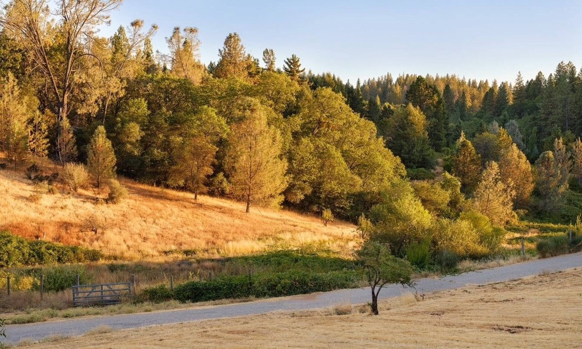 Colfax Apartment | Charming and Peaceful apartment on Historical Ranch Retreat with WiFi in Colfax