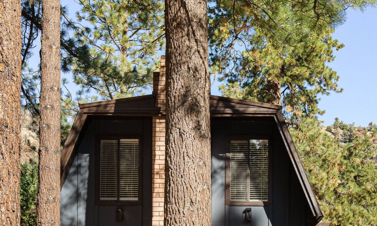 Wrightwood Cabin | Charming Cabin | Kid & Pet Friendly, Wood Burning Fireplace
