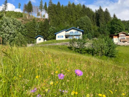 Bad Gastein Ski Chalet | Charming chalet with sauna + views!