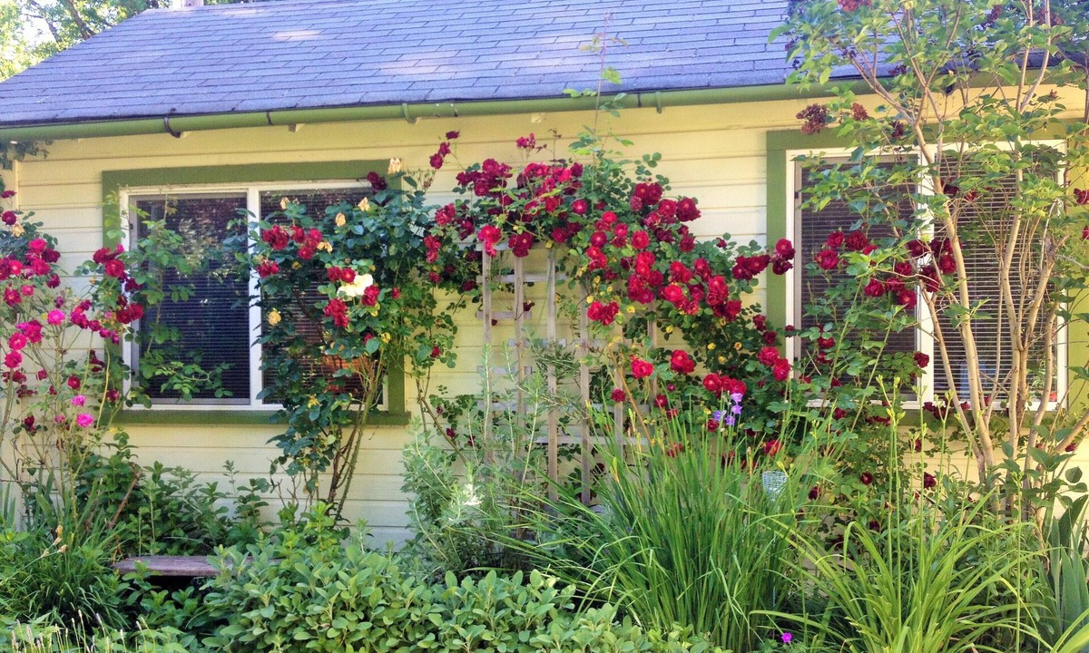 Whiteaker Cottage | Charming Cottage: A Private Garden Retreat in Historic Whiteaker Neighborhood