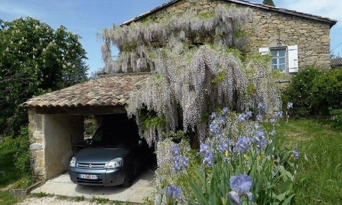Vesseaux House | Charming detached house with terrace in a farmhouse with swimming pool and garden