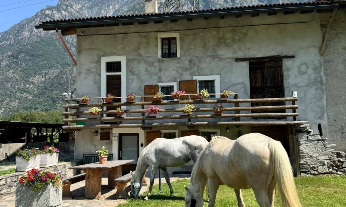 Samolaco Cottage | Charming farmhouse in northern Italy - nature, tranquillity & real agriturismo feeling