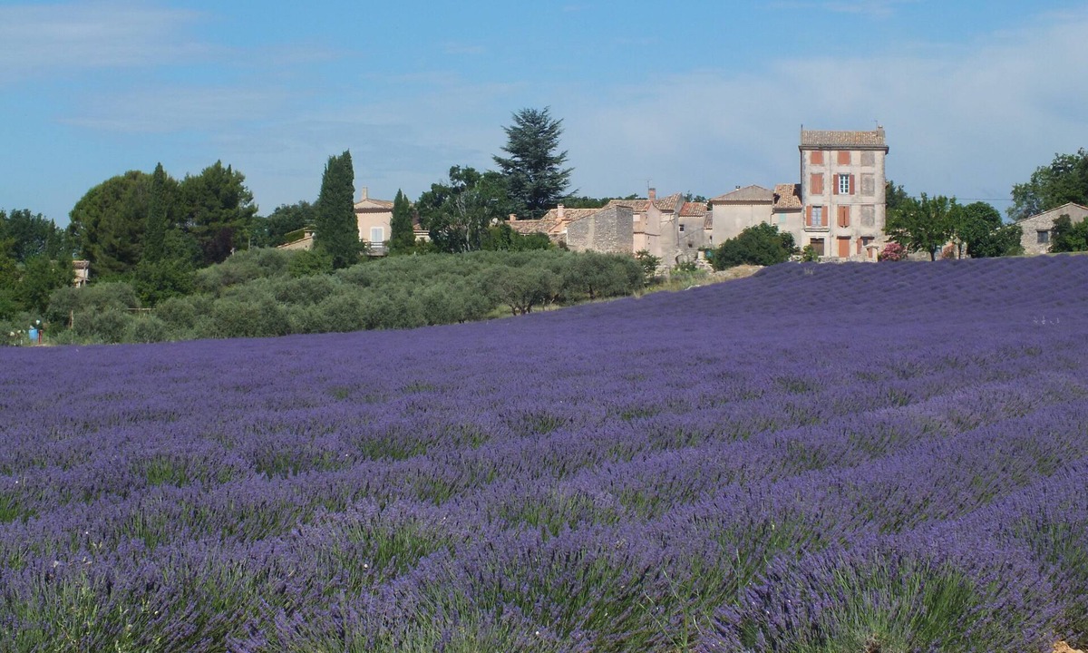 Saint-Saturnin-les-Apt Cottage | CHARMING GITE IN PROVENCE BETWEEN VENTOUX AND LUBERON DETACHED HOUSE