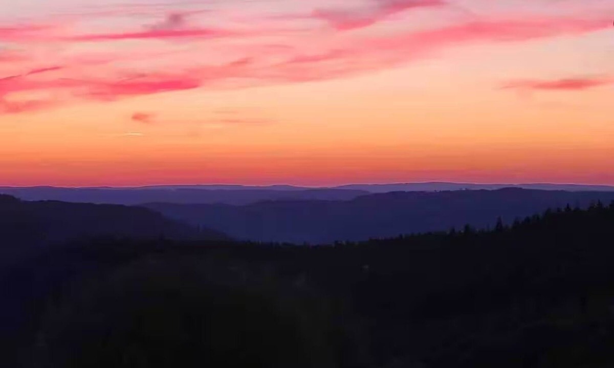Trarbach Apartment | Charming hideaway - nature, wine and sunsets