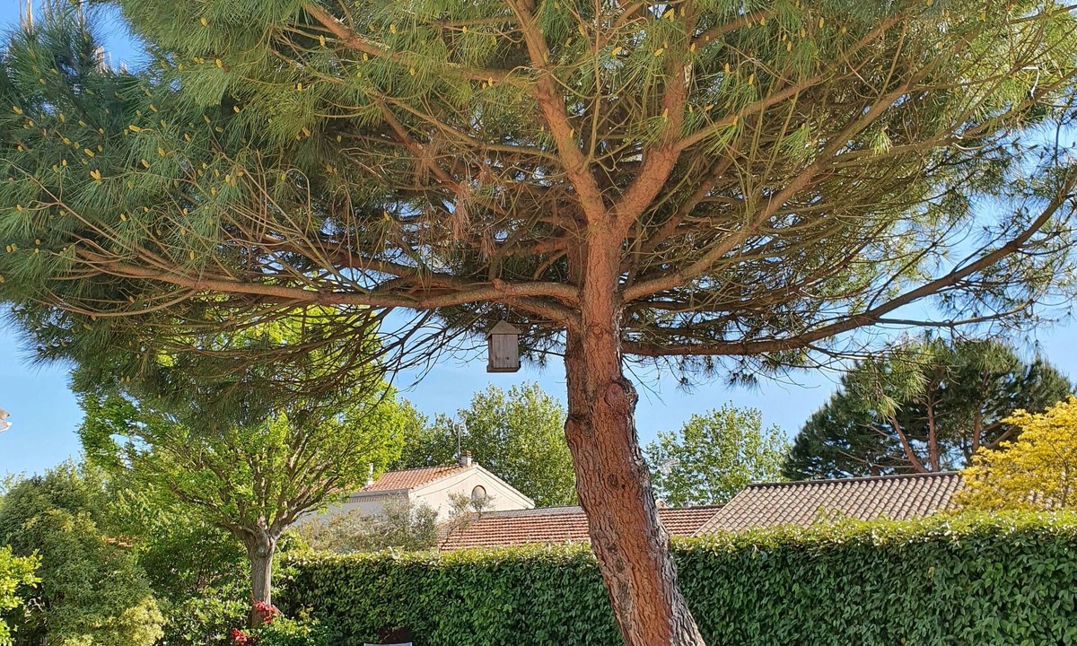 Angoulins House | Charming house with enclosed garden, near the sea or the center of the village