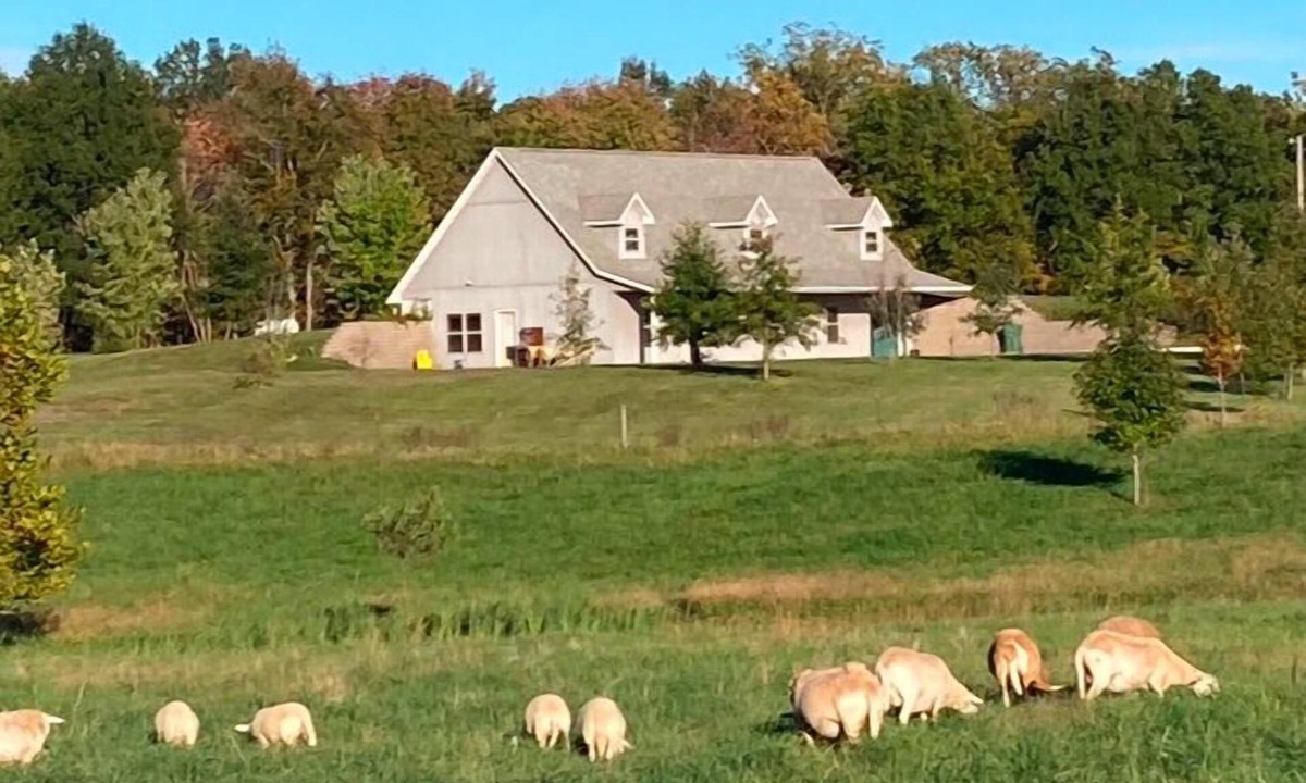 Sparta House | Charming modern farmhouse - four miles from WSRC