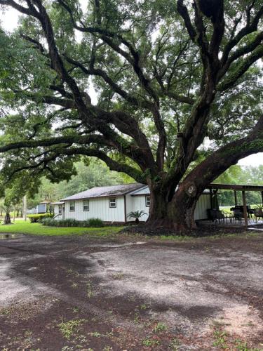Bon Secour Villa | Charming Oak