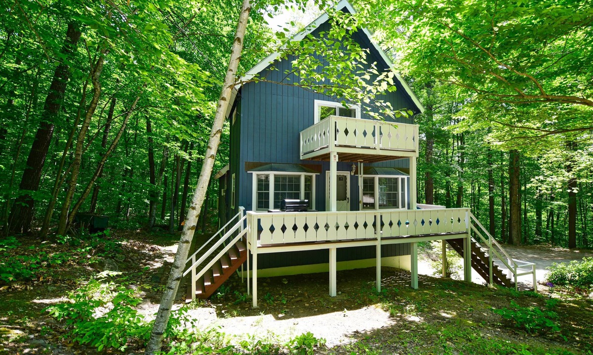 Eidelweiss Village House | Charming Pet Friendly 4-Season Getaway w/Fire Pit & Basement Game Room!