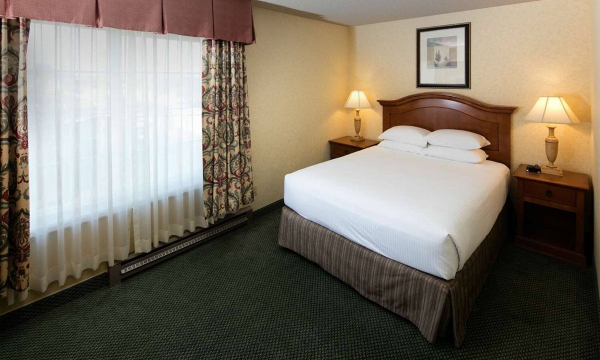 Downtown Hotel | Charming Pet-Friendly Room Near Redwood Forest - Easy Access to Hwy 101