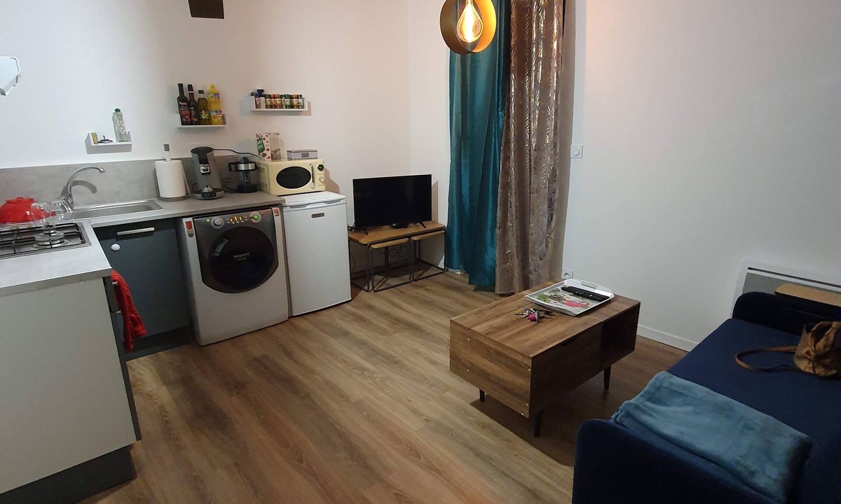 Tain-l'Hermitage Apartment | CHARMING SMALL F1 IN TOWN CENTER WITH TERRACE