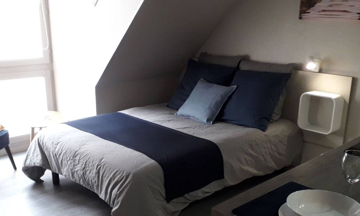 Mulhouse Apartment | Charming Standing Studio HISTORIC CENTER#