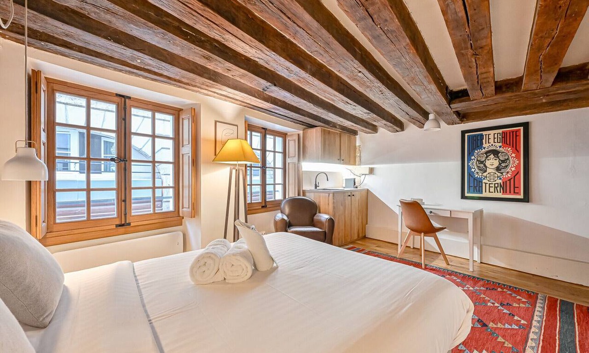 Sorbonne Apartment | Charming Studio Bievre Notre Dame 47