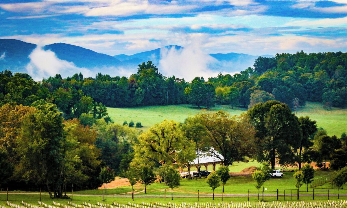 Fairfield Cabin | Charming Vineyard Cabin-Wine, Vines, & Views near-WLU, VMI, & The Horse Center