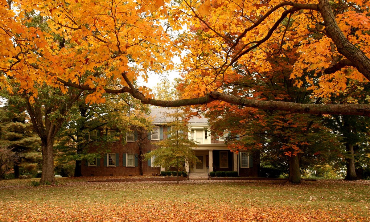 Versailles Bed & Breakfast | Charred Oaks Inn