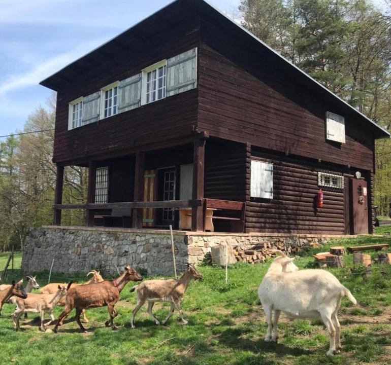 Beroun House | Chata s duší