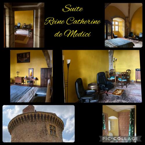 Saint-Andre-dʼApchon Bed & Breakfast | Chateau d Albon - Catherine de Medicis