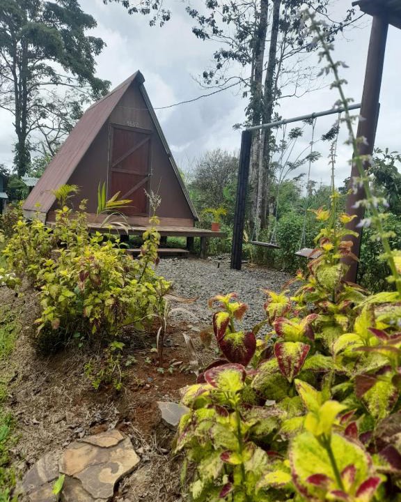 Canton Guatuso Other | Chava Camping Rio Celeste