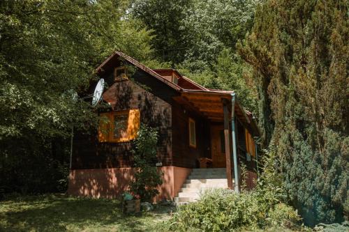 Auseu House | Cheerful Forest Cabin with Hot Tub!