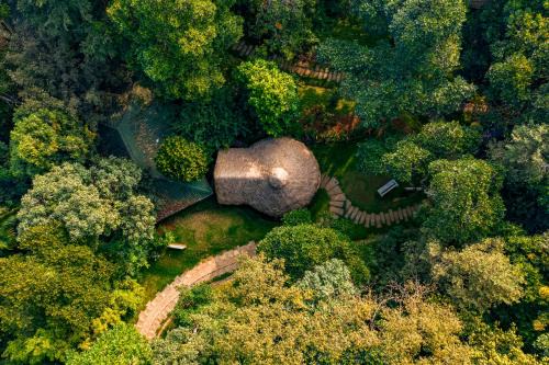 Vayittiri Resort | Chembarathi Wayanad Boutique Resort