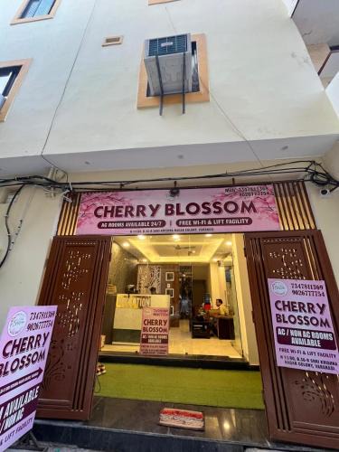 Mahmoorganj House | Cherry Blossom