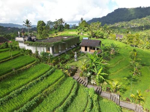 Sidemen House | Chez Lepusa