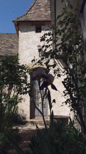 Mayet House | Chez Marguerite
