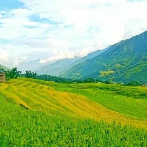 Hau Thao House | Chi Homestay