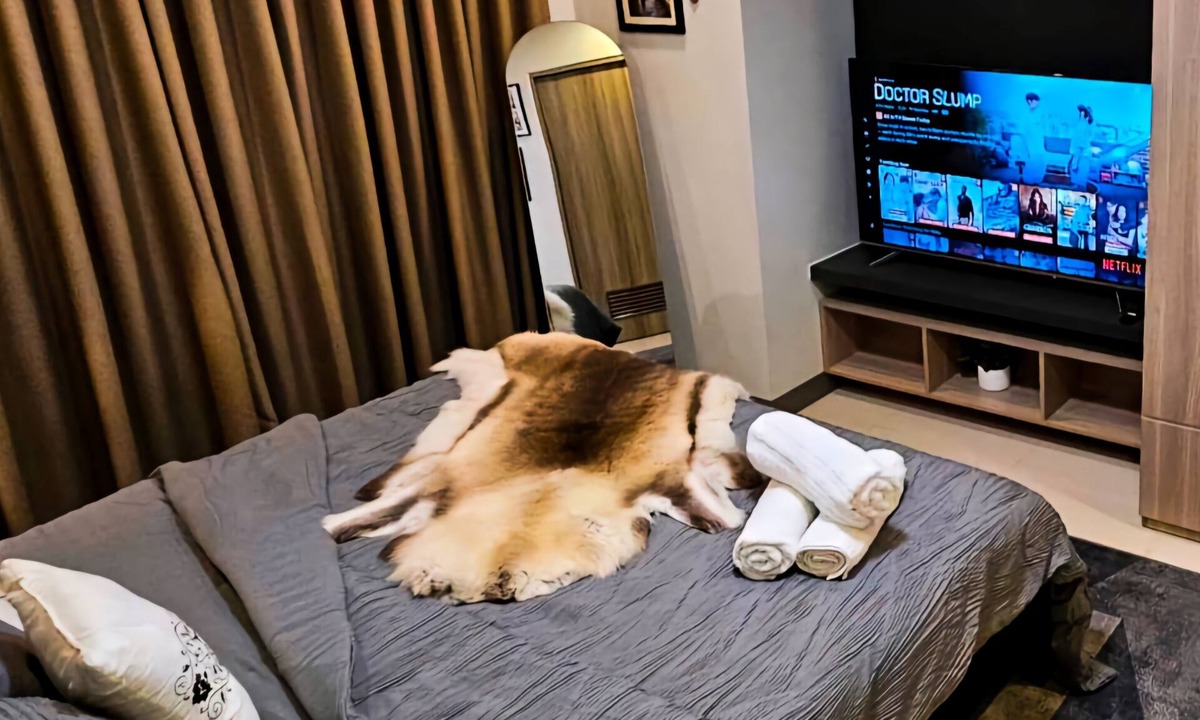 Barangay 76 Apartment | Chic 2BR End Unit with King Bed, Fast Wi-fi FREE Parking~Mall of Asia