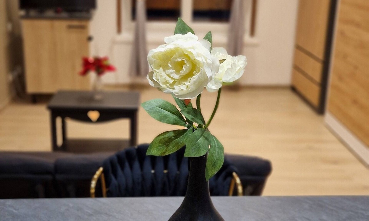 Thonon-les-Bains Apartment | Chic & Design 3-person studio near downtown Thonon-Les-Bains