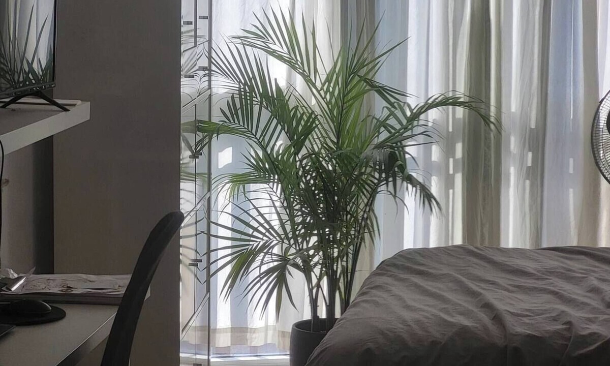 The Junction Apartment | Chic, Turnkey Studio in the Heart of the Toronto Junction! (6-Month Min.)